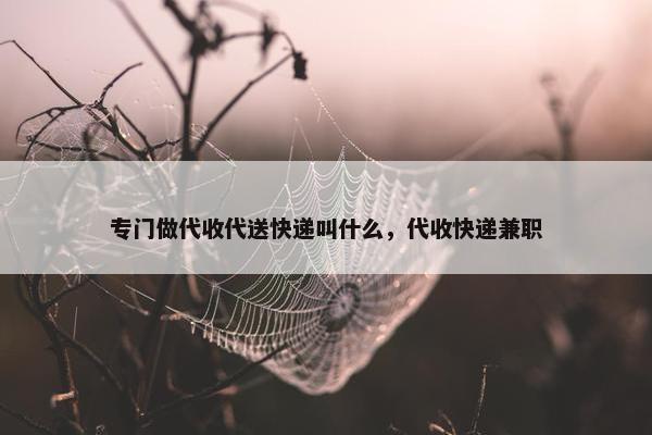 专门做代收代送快递叫什么，代收快递兼职