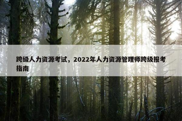 跨级人力资源考试，2022年人力资源管理师跨级报考指南