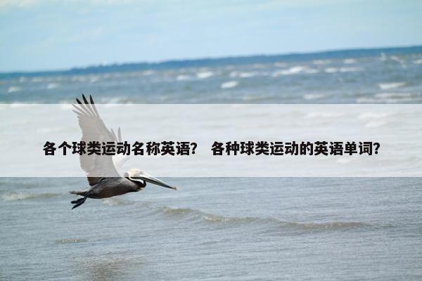 各个球类运动名称英语？ 各种球类运动的英语单词？