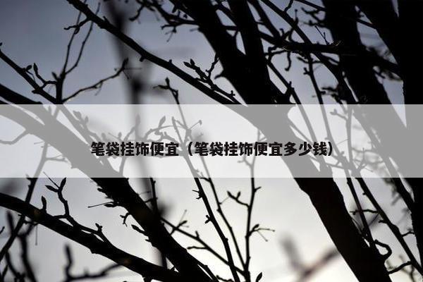 笔袋挂饰便宜（笔袋挂饰便宜多少钱）
