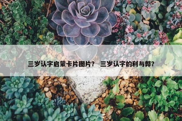 三岁认字启蒙卡片图片？ 三岁认字的利与弊？