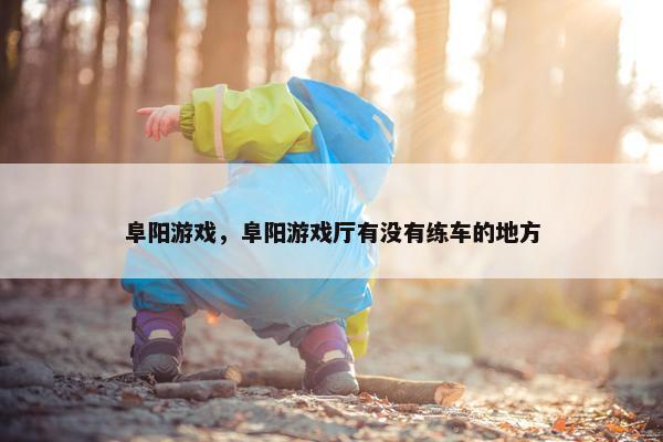 阜阳游戏，阜阳游戏厅有没有练车的地方