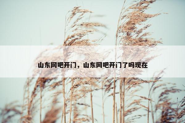 山东网吧开门，山东网吧开门了吗现在