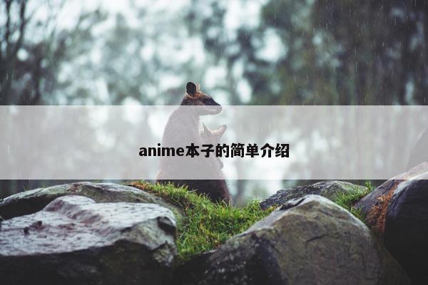 anime本子的简单介绍