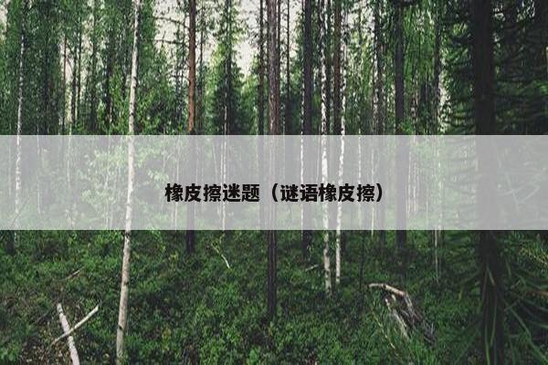橡皮擦迷题（谜语橡皮擦）