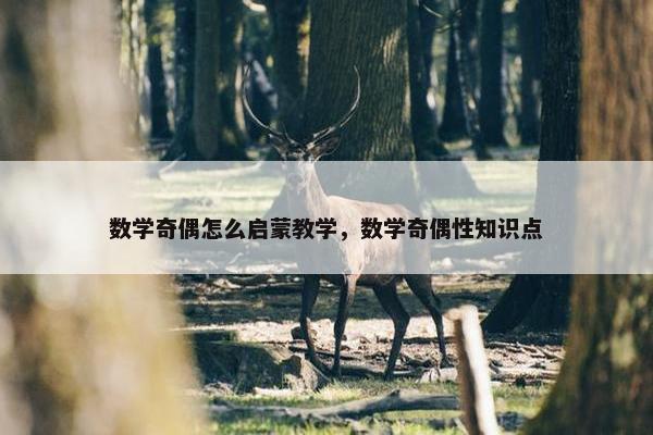 数学奇偶怎么启蒙教学，数学奇偶性知识点