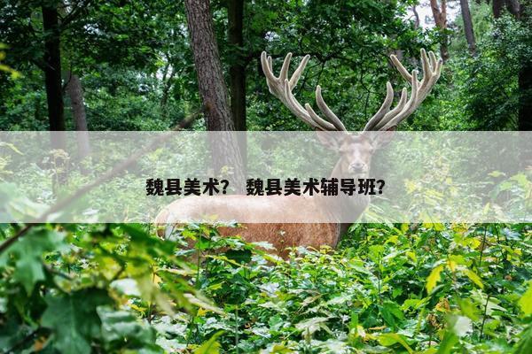魏县美术？ 魏县美术辅导班？