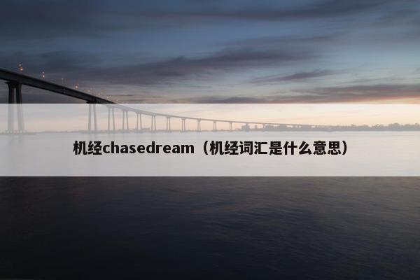 机经chasedream（机经词汇是什么意思）
