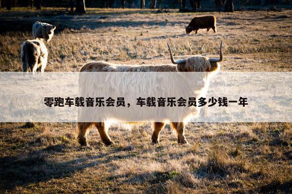 零跑车载音乐会员，车载音乐会员多少钱一年