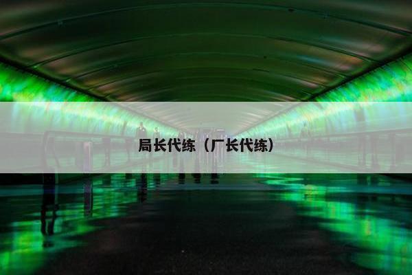 局长代练（厂长代练）