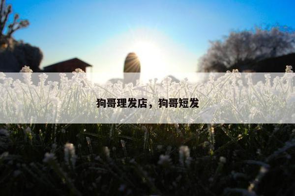 狗哥理发店，狗哥短发
