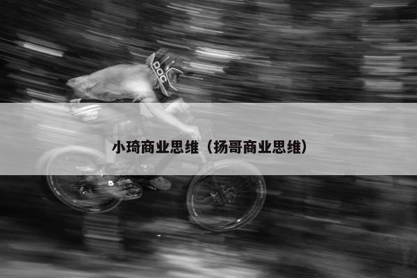 小琦商业思维（扬哥商业思维）