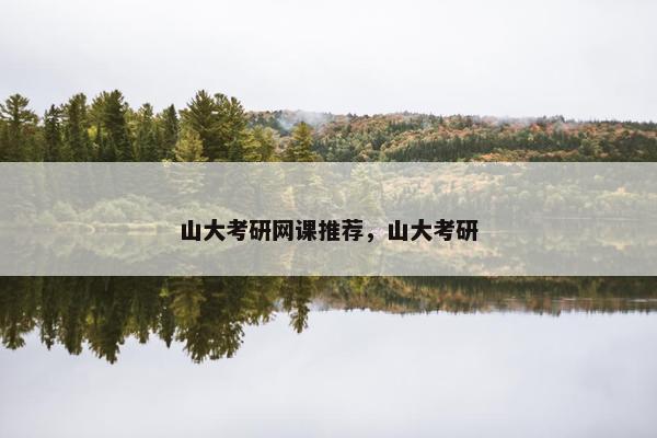 山大考研网课推荐，山大考研