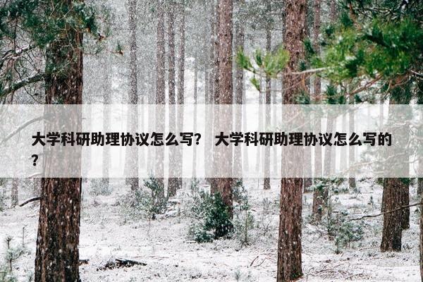大学科研助理协议怎么写？ 大学科研助理协议怎么写的？