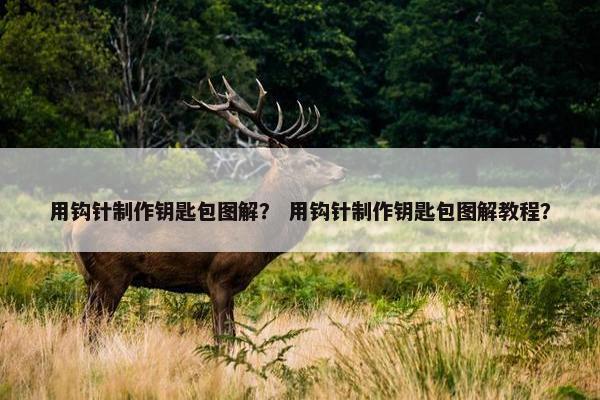用钩针制作钥匙包图解？ 用钩针制作钥匙包图解教程？