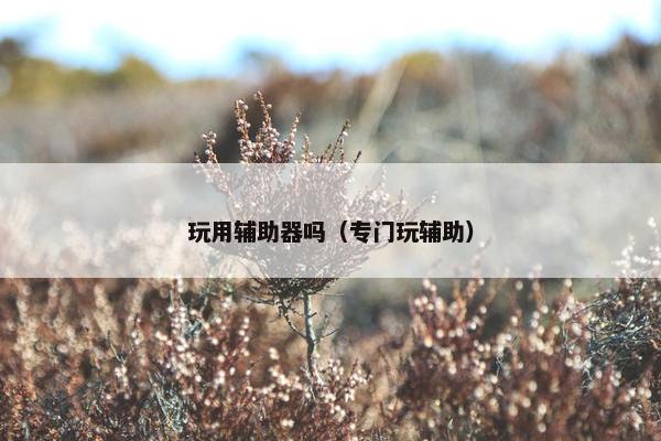 玩用辅助器吗（专门玩辅助）