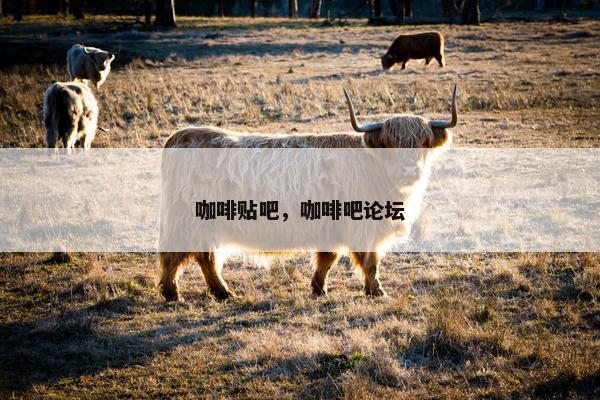 咖啡贴吧，咖啡吧论坛