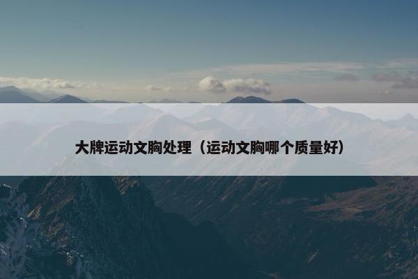 大牌运动文胸处理（运动文胸哪个质量好）