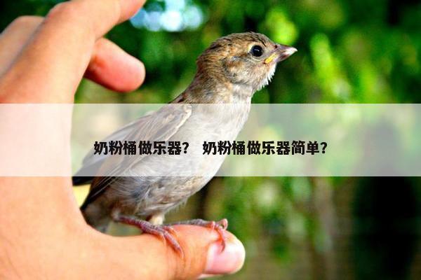 奶粉桶做乐器？ 奶粉桶做乐器简单？