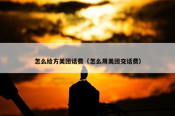怎么给方美团话费（怎么用美团交话费）