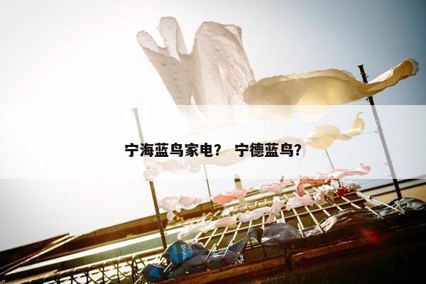 宁海蓝鸟家电？ 宁德蓝鸟？