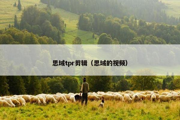 思域tpr剪辑（思域的视频）