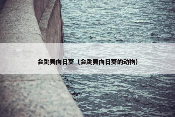 会跳舞向日葵（会跳舞向日葵的动物）