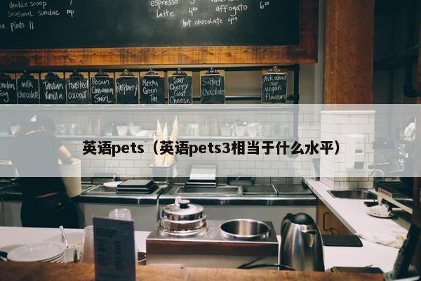 英语pets（英语pets3相当于什么水平）