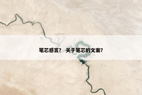 笔芯感言？ 关于笔芯的文案？