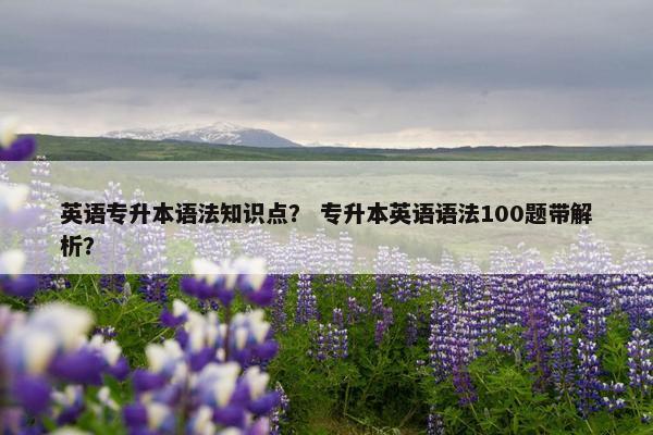 英语专升本语法知识点？ 专升本英语语法100题带解析？