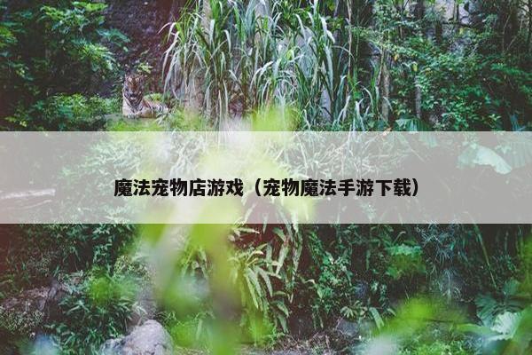 魔法宠物店游戏（宠物魔法手游下载）