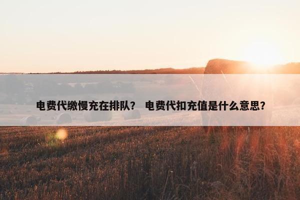 电费代缴慢充在排队？ 电费代扣充值是什么意思？
