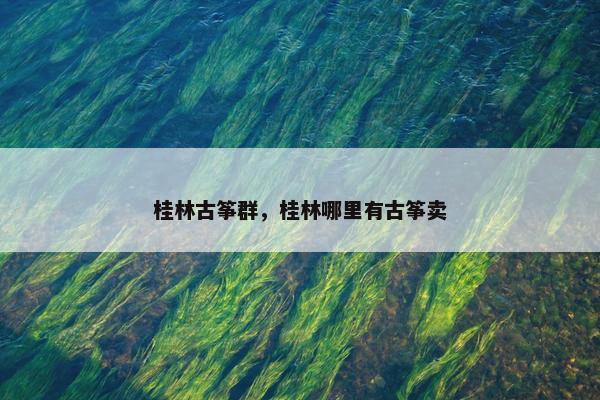 桂林古筝群，桂林哪里有古筝卖