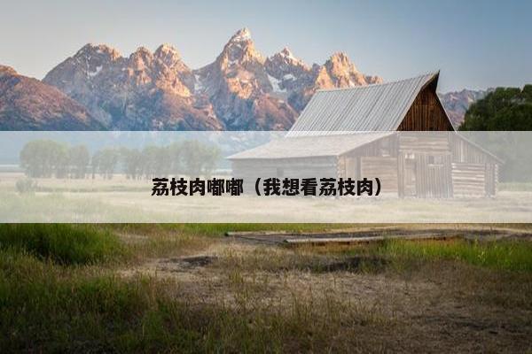 荔枝肉嘟嘟（我想看荔枝肉）
