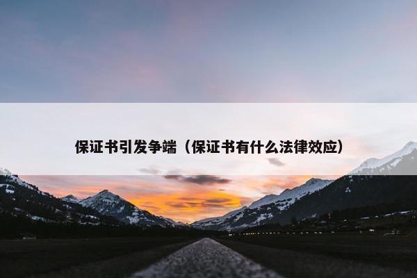 保证书引发争端（保证书有什么法律效应）