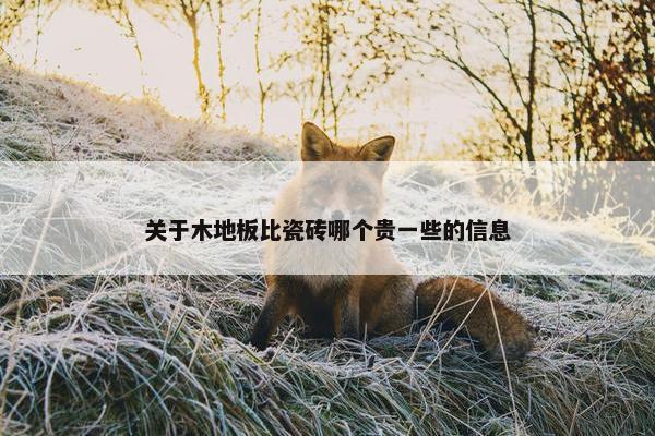 关于木地板比瓷砖哪个贵一些的信息