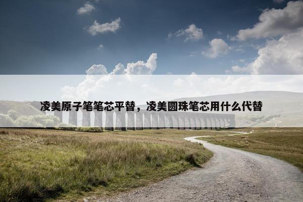 凌美原子笔笔芯平替，凌美圆珠笔芯用什么代替