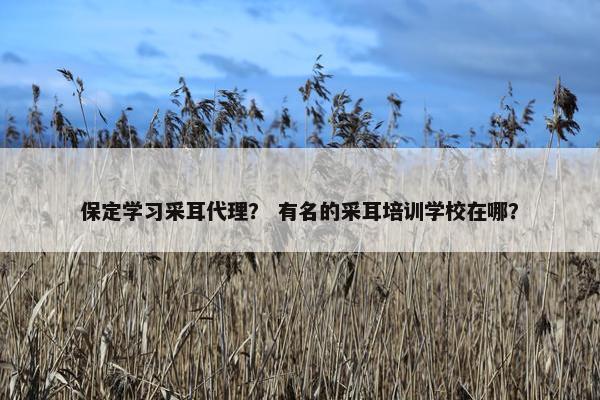 保定学习采耳代理？ 有名的采耳培训学校在哪？