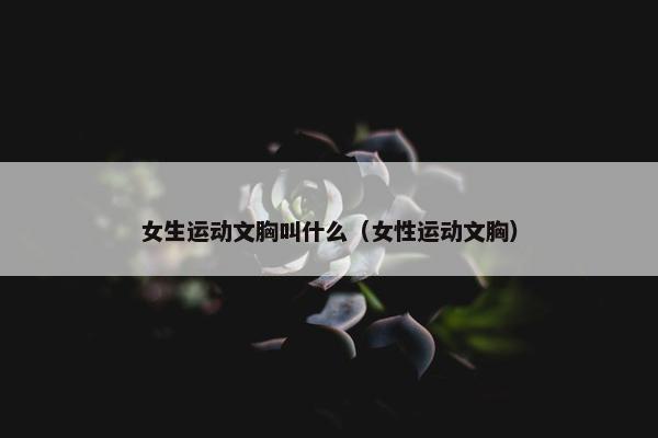 女生运动文胸叫什么（女性运动文胸）