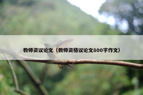 教师资议论文（教师资格议论文800字作文）
