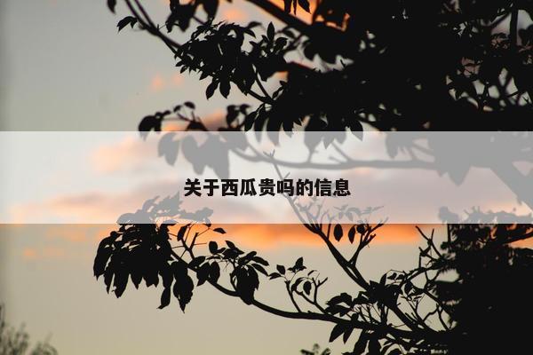 关于西瓜贵吗的信息