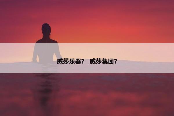 威莎乐器？ 威莎集团？