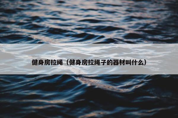 健身房拉绳（健身房拉绳子的器材叫什么）