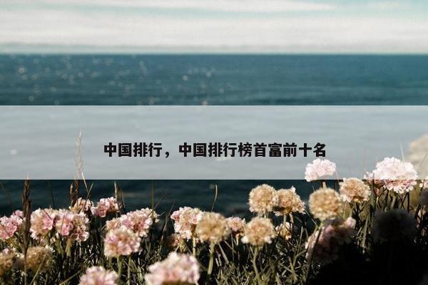 中国排行，中国排行榜首富前十名