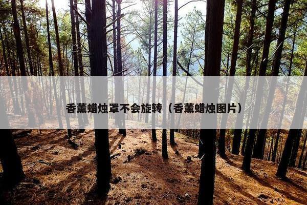 香薰蜡烛罩不会旋转（香薰蜡烛图片）