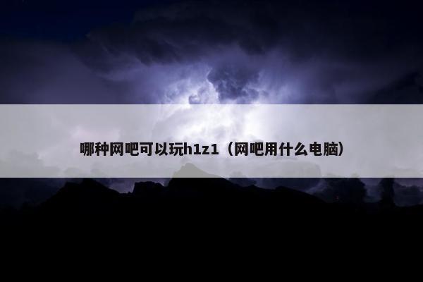 哪种网吧可以玩h1z1（网吧用什么电脑）