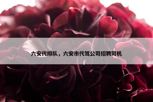 六安代排队，六安市代驾公司招聘司机