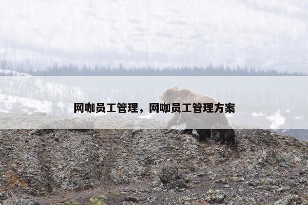 网咖员工管理，网咖员工管理方案