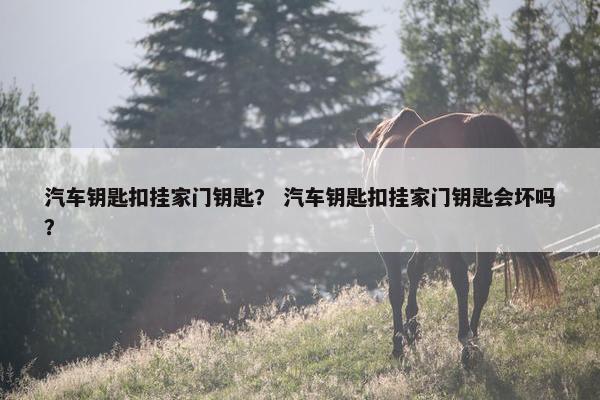 汽车钥匙扣挂家门钥匙？ 汽车钥匙扣挂家门钥匙会坏吗？