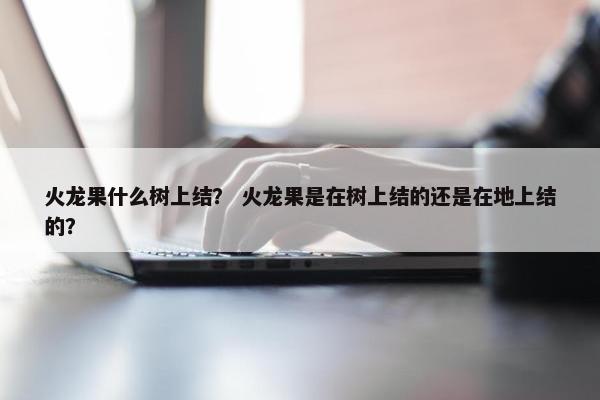 火龙果什么树上结？ 火龙果是在树上结的还是在地上结的？